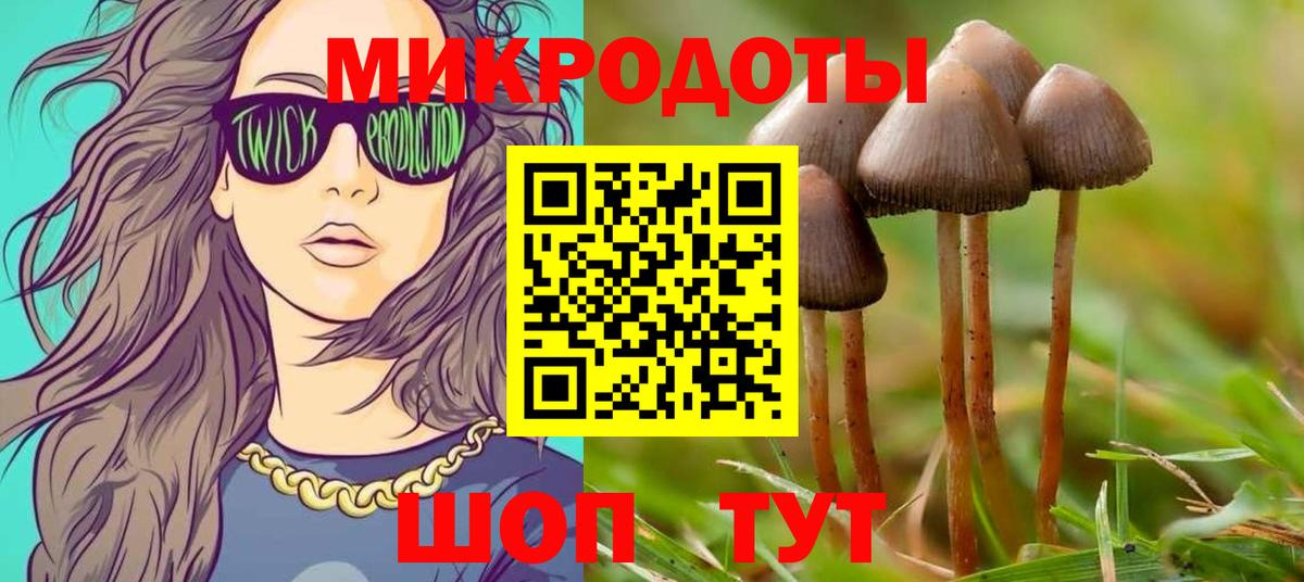 Псилоцибиновые грибы ЛСД  Вход с VPN  закладки  Черняховск 